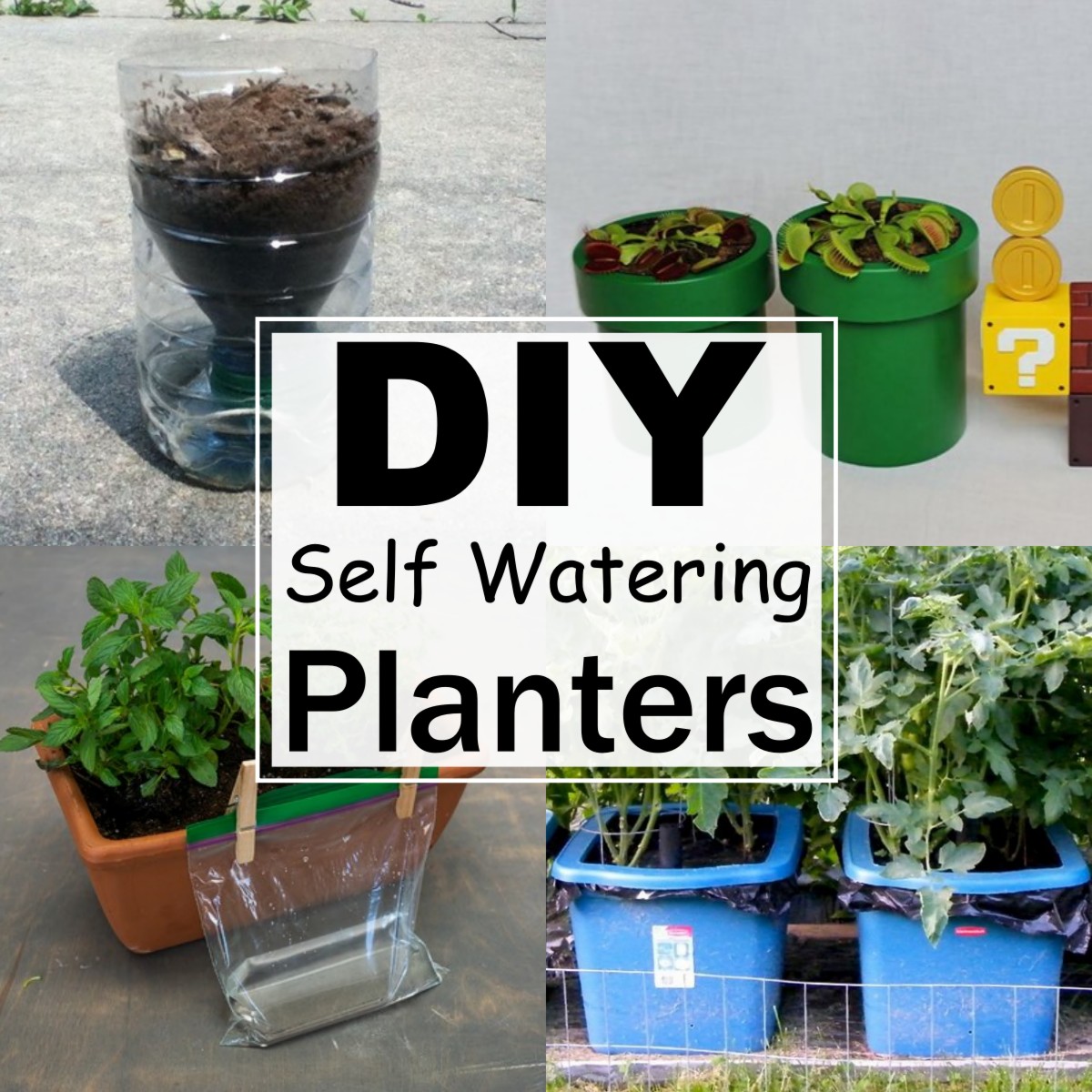 28 DIY Self Watering Planter Ideas For Gardening Lovers - All Sands