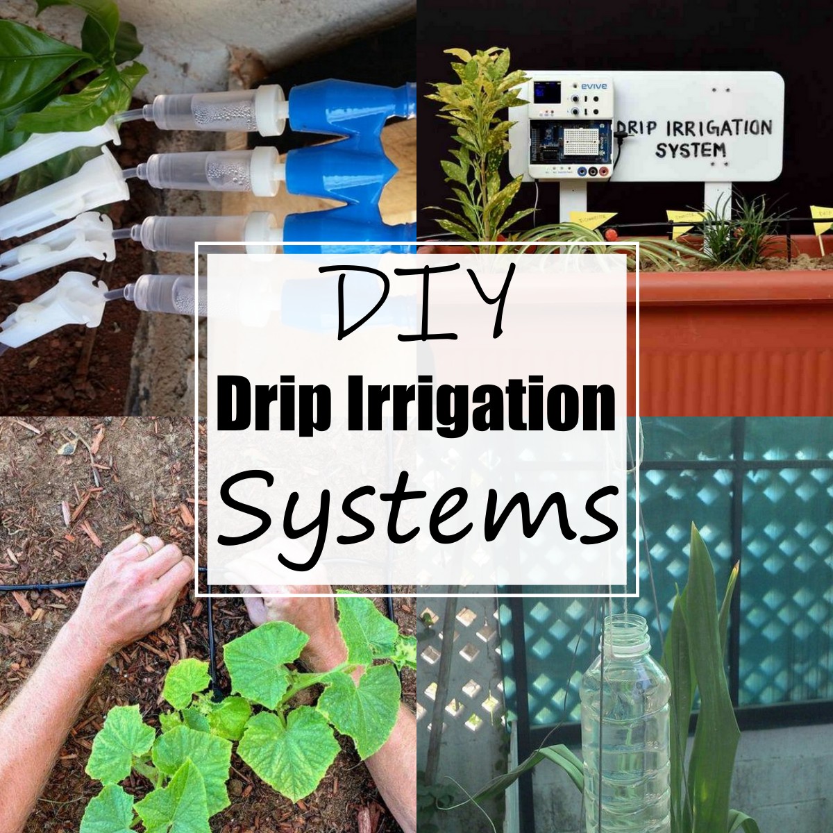 18 Best DIY Drip Irrigation System For Garden - All Sands